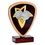 0750682a - TROPHEE 18 cm PHOTO V12